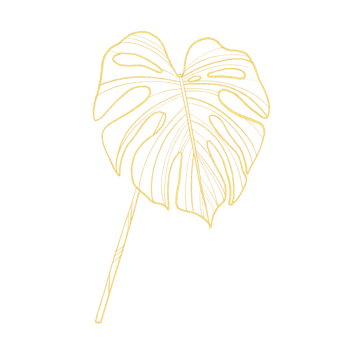 Gold outline illustration with tropical leaf png
