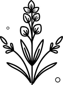 Lavender - High Quality Vector Logo - Vector illustration ideal for T-shirt graphic