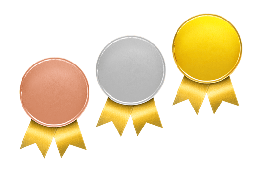 Bronze, Silver, Gold Medal. Champion Winner's Medal Bronze, Silver and Gold medals for the first prize PNG transparent
