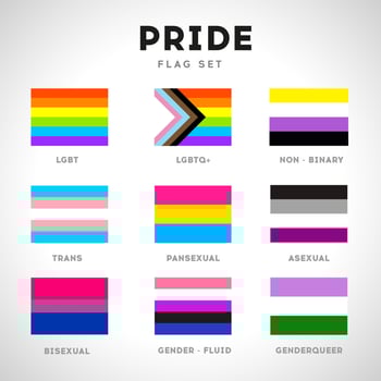 Pride set with LGBTQ flags vector