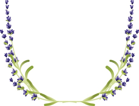 floral frame with purple lavender flowers vector