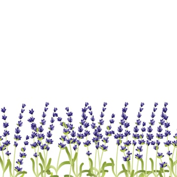 floral frame with purple lavender flowers vector