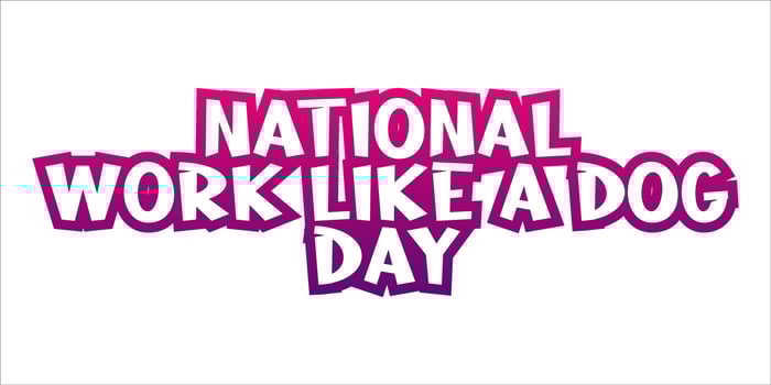 National Work Like A Dog Day Lettering style. Holiday concept. Template for background, Web banner, card, poster, t-shirt with text inscription vector