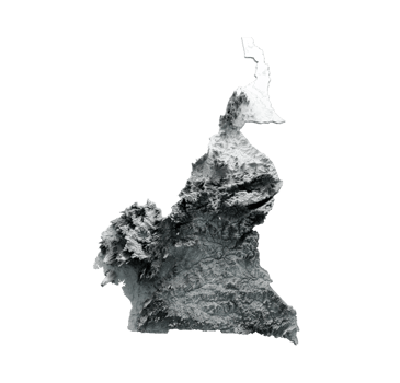 Cameroon Map Shaded relief map 3d illustration png