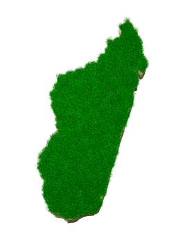 Madagascar map soil land geology cross section with green grass 3d illustration png