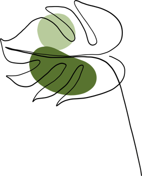 simplicity monstera leaf freehand continuous line drawing png