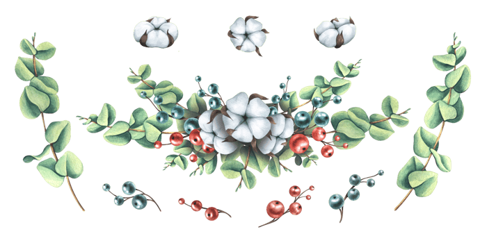 Christmas composition of eucalyptus branches, with cotton and berries. Watercolor illustration hand drawn. Set of isolated elements png