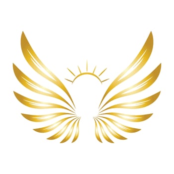 Bird wings illustration logo. vector