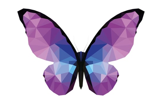 Butterfly polygonal illustration isolated in white background. vector