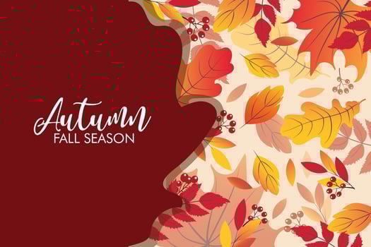 Autumn background with falling leaves vector