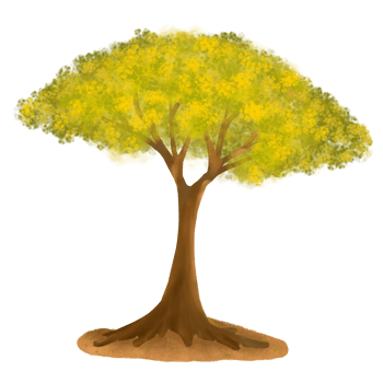 Beautiful tree illustration png
