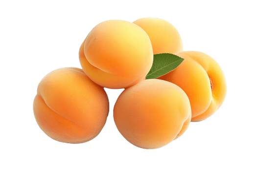 Apricot isolated on transparent background. PNG file, cut out. AI Generated