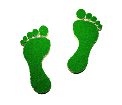 Footprint shape made of green grass and Rock ground texture cross section with 3d illustration png