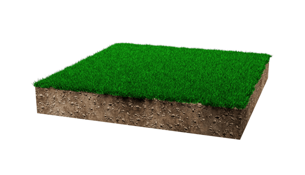 Square of green grass field green grass and Rock ground texture cross section with 3d illustration png