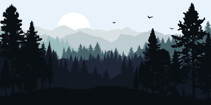 Vector illustration of a coniferous forest with trees in silhouette against a sunset or sunrise sky. Scenery of adventure theme make it perfect for travel and tourism designs, hiking, camping