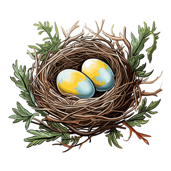 Bird nest with egg clipart, Illustration of a Bird Nest with Egg. png