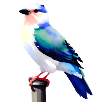 Watercolor Blue Bird png