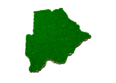 Botswana Map soil land geology cross section with green grass and Rock ground texture 3d illustration png