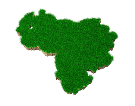Venezuela Map soil land geology cross section with green grass and Rock ground texture 3d illustration png