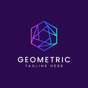 Geometric Polygonal Hexagon Line Logo with Gradient Color for Business Company Digital Network, Finance, Technology, Communication. vector