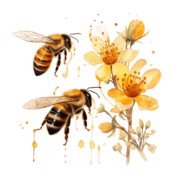 Watercolor Honey bee in summer time png