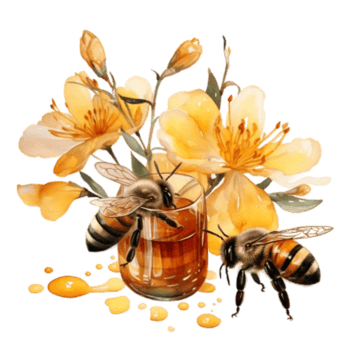 Watercolor Honey bee in summer time png