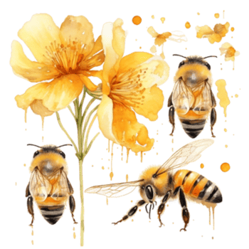 Watercolor Honey bee in summer time png