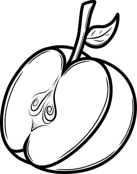 slice of an apple vector