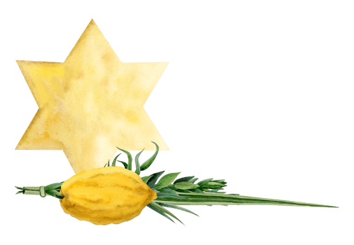 Jewish symbolic plants for Sukkot holiday with yellow gold star of David watercolor illustration. Four species willow and myrtle branches, Etrog citron fruit, palm frond png