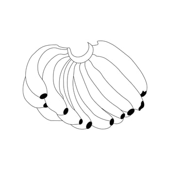 Banana Coloring Book Sketch Line Art Vector Hand Drawn illustration