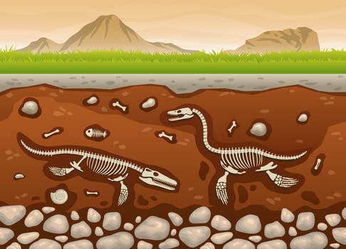 Soil Underground Layers With Dinosaur Fossil Paleontology Excavations Cartoon Vector