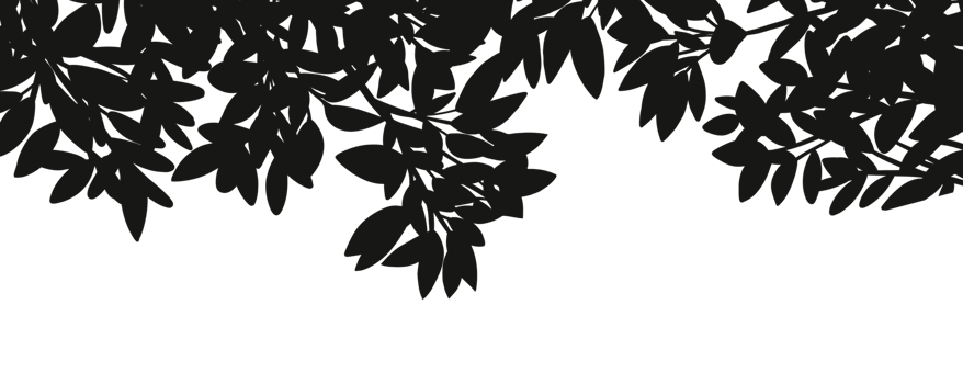 Silhouette Leaves Shadow border, Illustration isolated frame of Shadow leaf overlay on Wall background, Concept for elements design decoration for Spring, Summer Banner png
