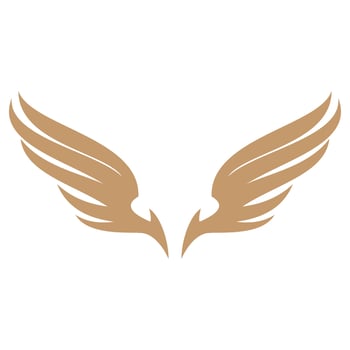 Bird wings illustration logo. vector