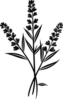Lavender, Minimalist and Simple Silhouette - Vector illustration