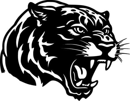 Panther, Black and White Vector illustration
