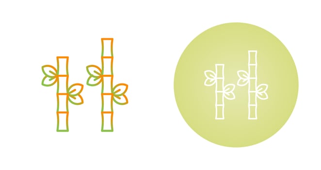 Bamboo Vector Icon