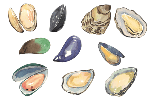 seafood watercolor lobster shell fish png