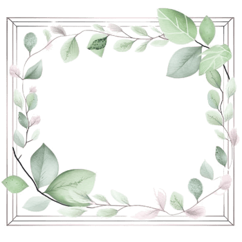 Watercolor eucalyptus leaves frame isolated png