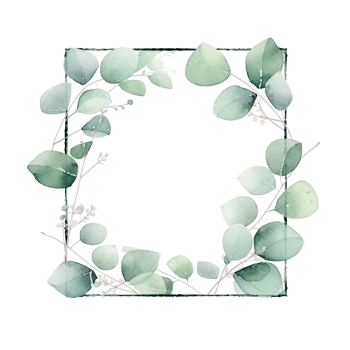 Watercolor eucalyptus leaves frame isolated png