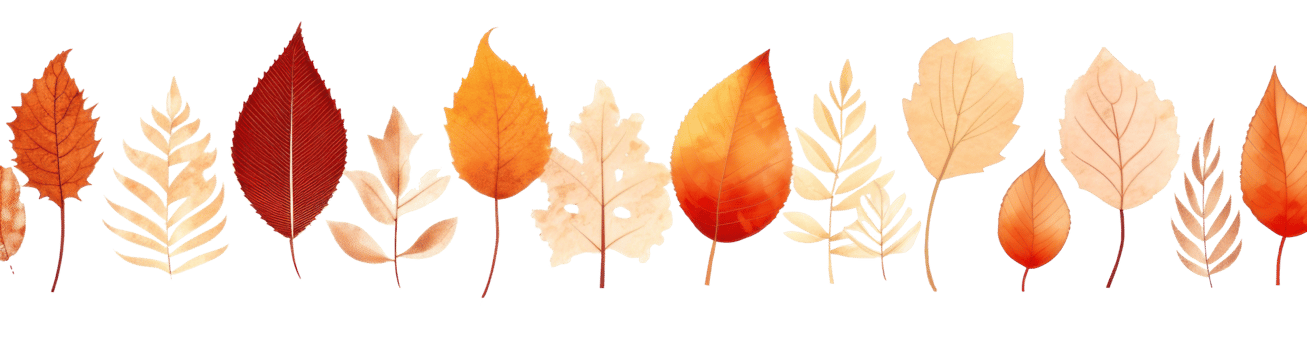 Autumn leaves border isolated png