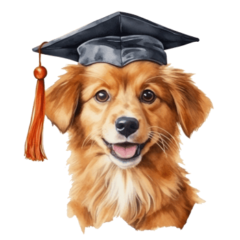 Cute watercolor dog in graduarion cap isolated png