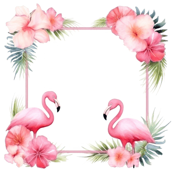 Watercolor flamingo frame isolated png
