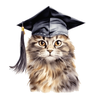Cute watercolor cat in graduarion cap isolated png
