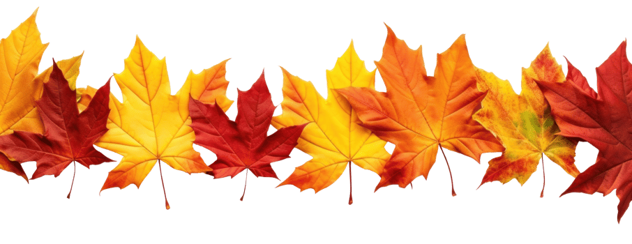 Autumn leaves border isolated png