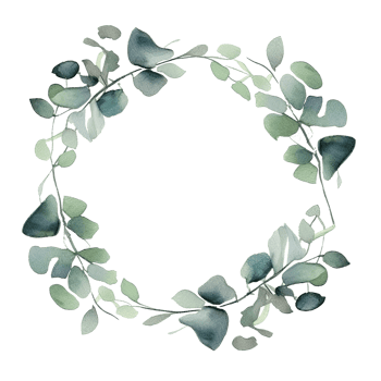 Watercolor eucalyptus leaves frame isolated png