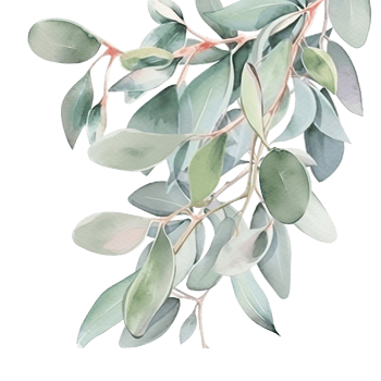 Watercolor eucalyptus leaves frame isolated png