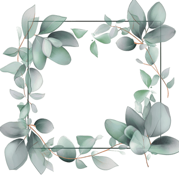 Watercolor eucalyptus leaves frame isolated png