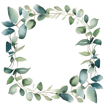 Watercolor eucalyptus leaves frame isolated png