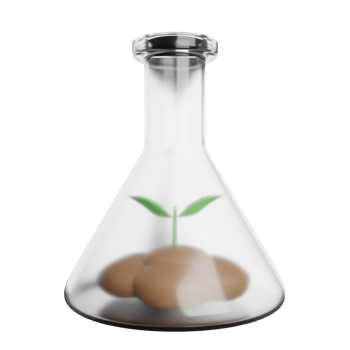 Ecology Plant Leaf png