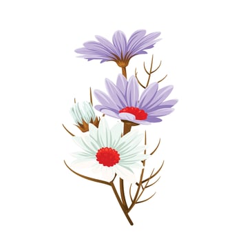 Vector cosmos flower colorful isolated